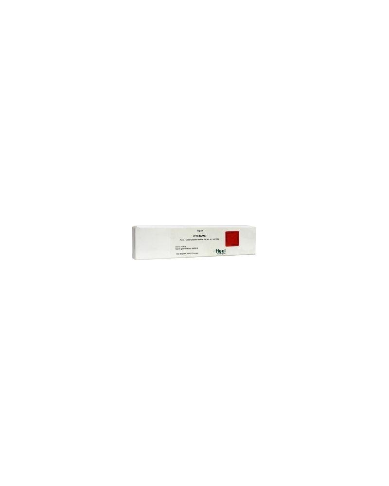 Ledum creme