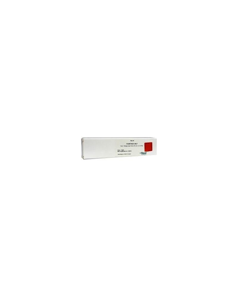 Plantago creme