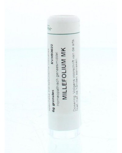 Millefolium MK