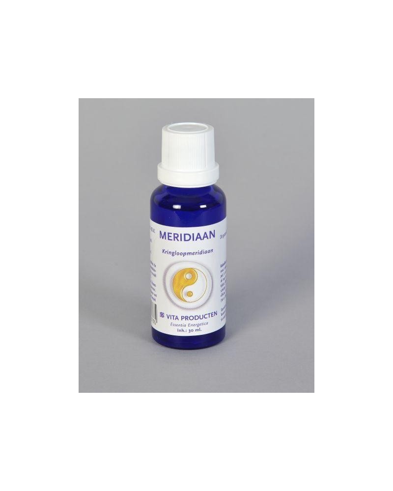 Meridiaan kringloopmeridiaan