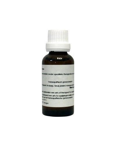 Echinacea angustifolia 200K