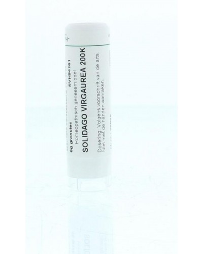 Solidago virgaurea 200K