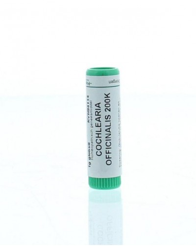 Cochlearia officinalis 200K