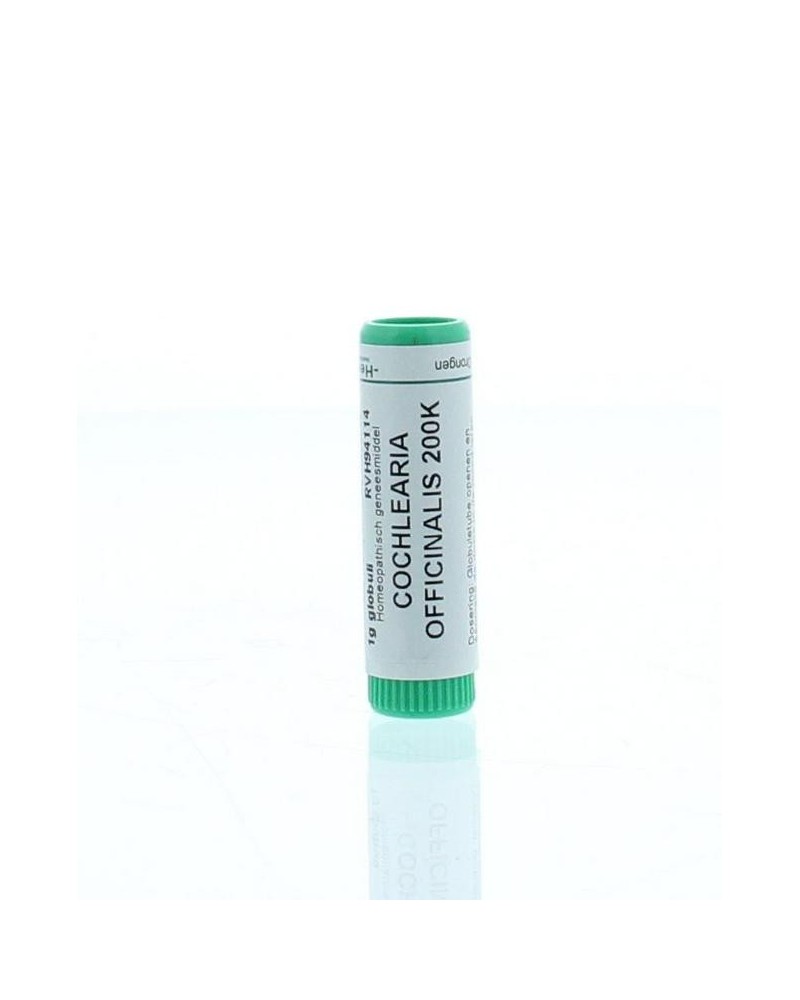 Cochlearia officinalis 200K