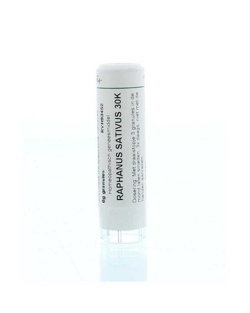 Raphanus sativus 30K