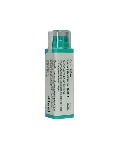 Plantago major 30K