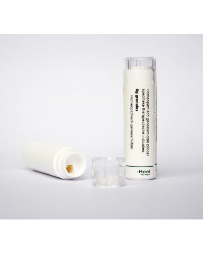 Ledum palustre 5CH