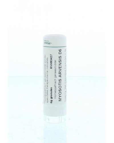 Myosotis arvensis D6