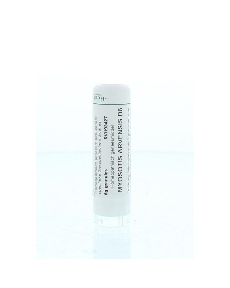 Myosotis arvensis D6