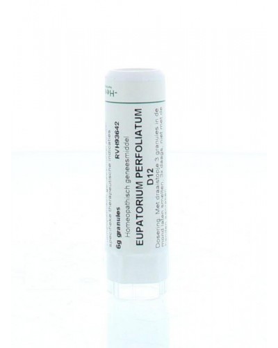 Eupatorium perfoliatum D12