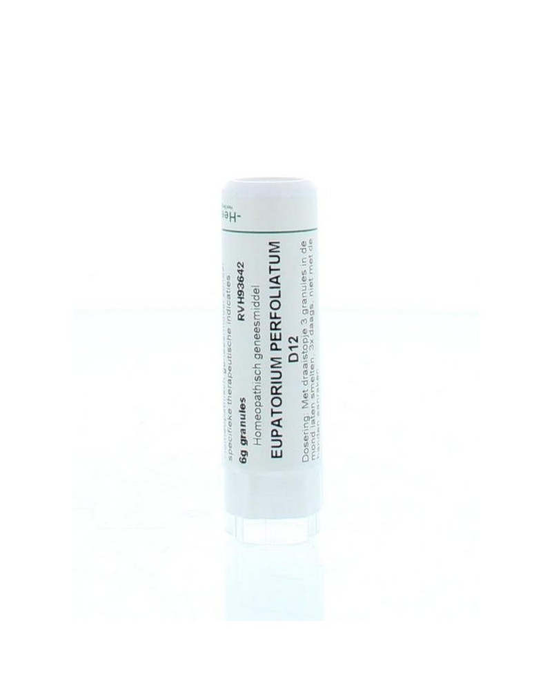 Eupatorium perfoliatum D12