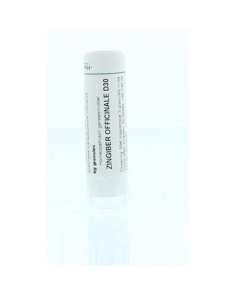 Zingiber officinalis D30