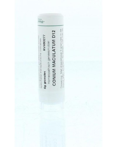 Conium maculatum D12