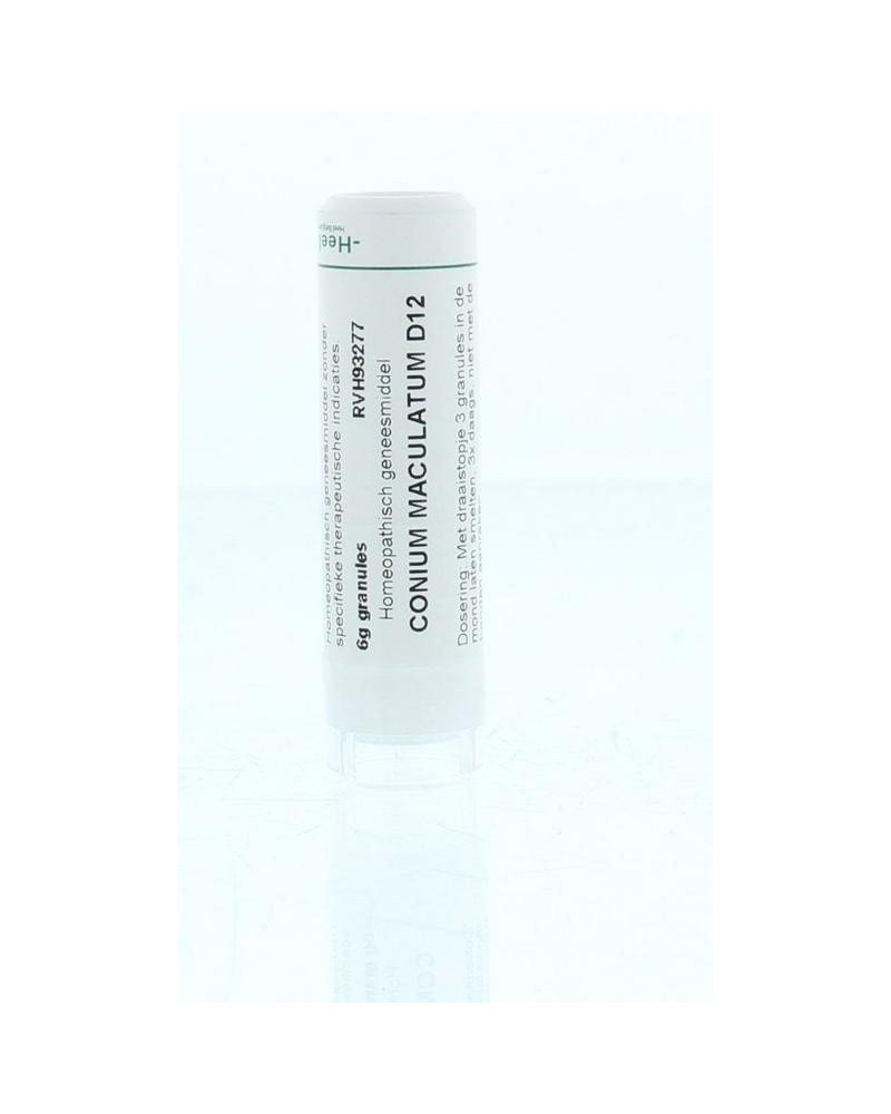 Conium maculatum D12