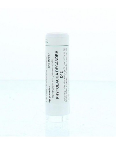 Phytolacca decandra D12