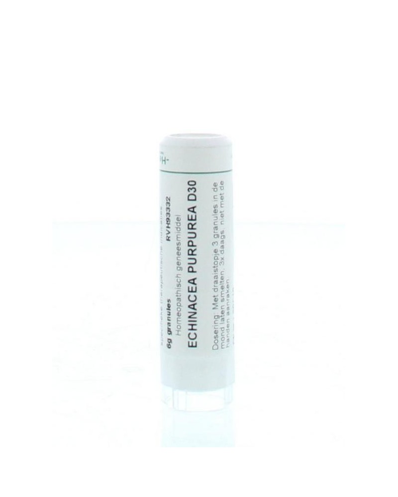 Echinacea purpurea D30