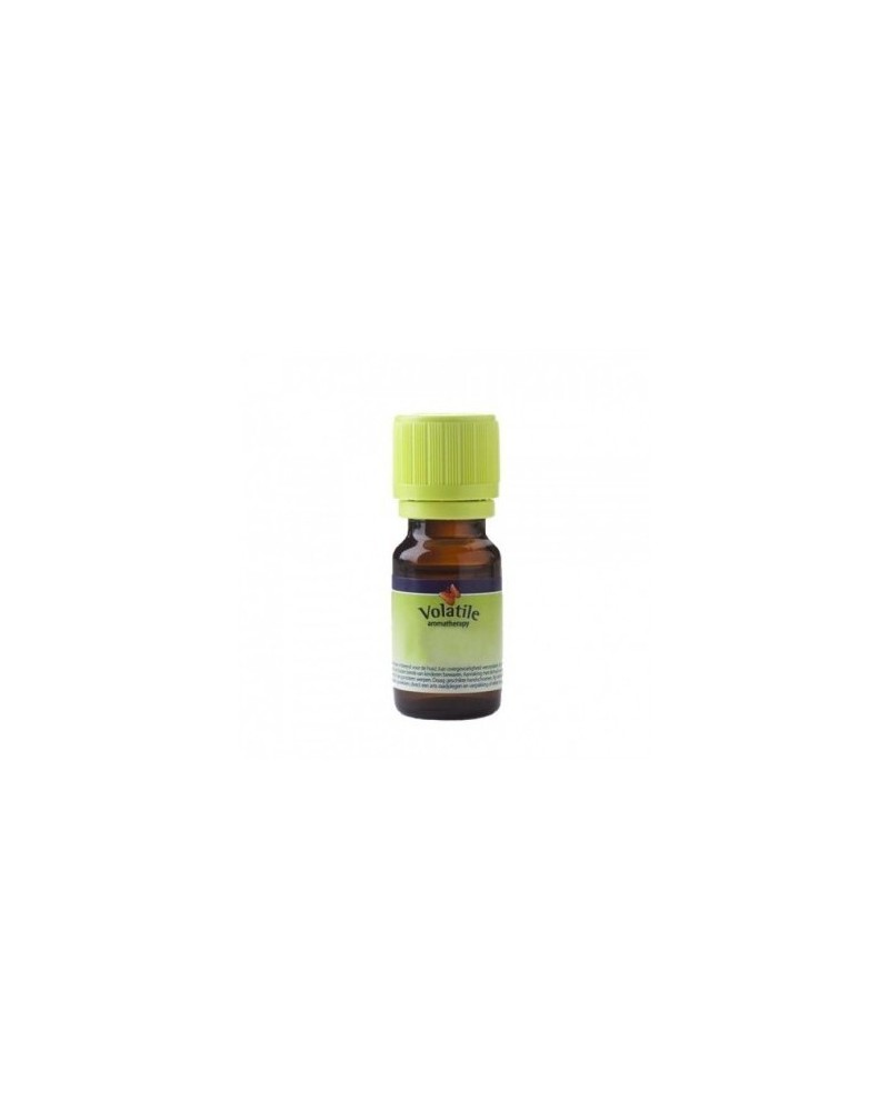 Geranium bourbon