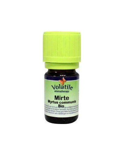 Mirte