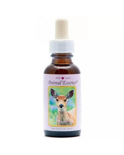 Deer (hert)
