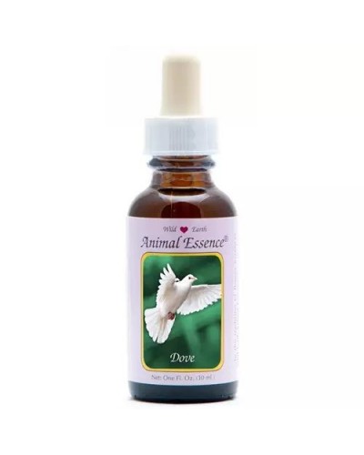 Dove (duif)