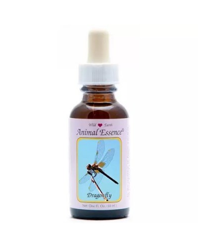 Dragonfly (libelle)