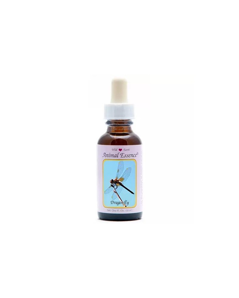 Dragonfly (libelle)