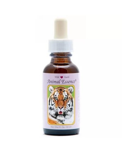 Tiger (tijger)