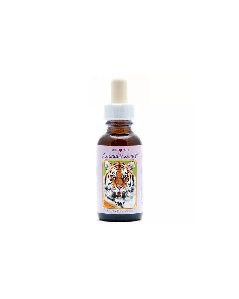 Tiger (tijger)