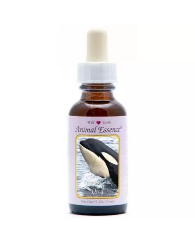 Orca