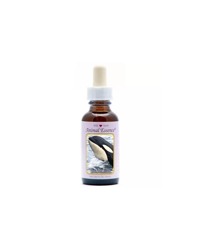 Orca