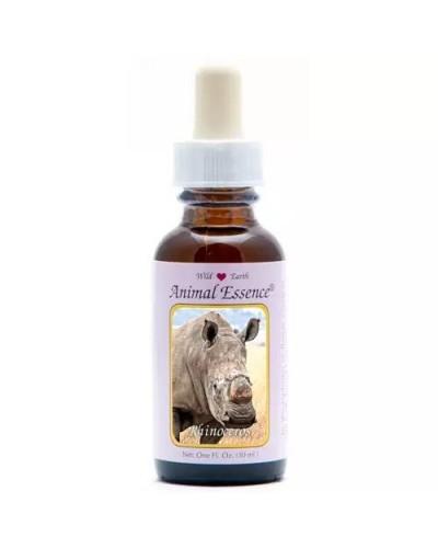White rhinoceros (witte neushoorn)