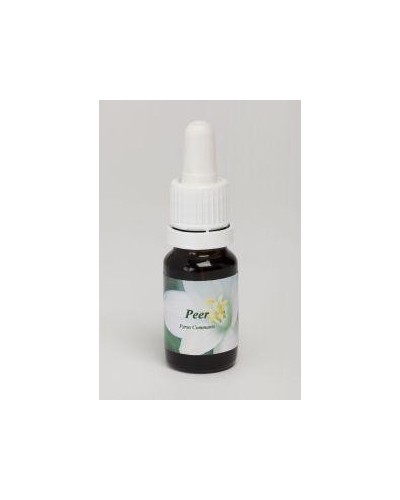 Peer
