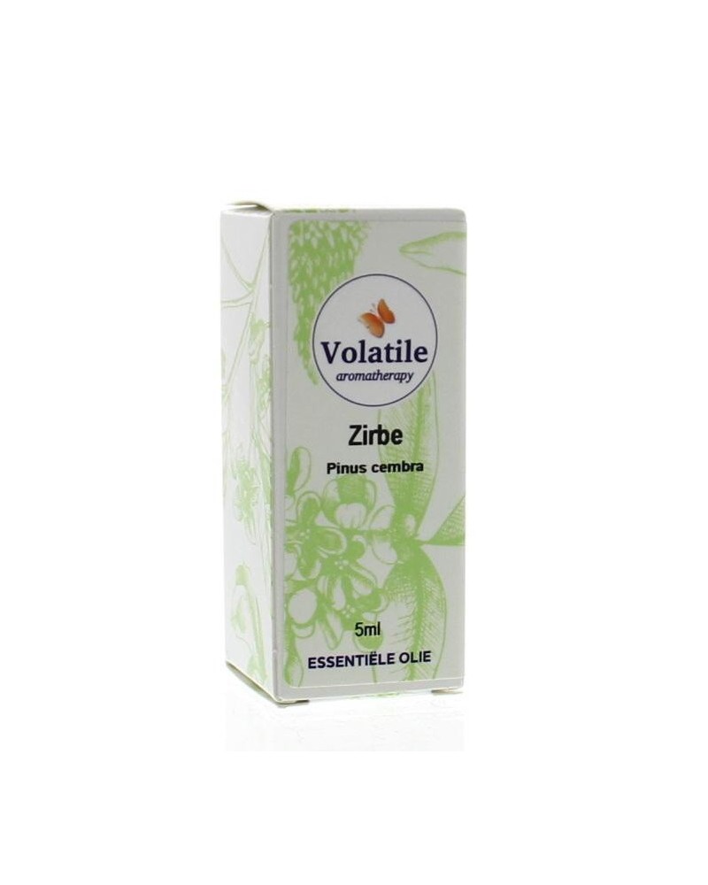 Zirbe