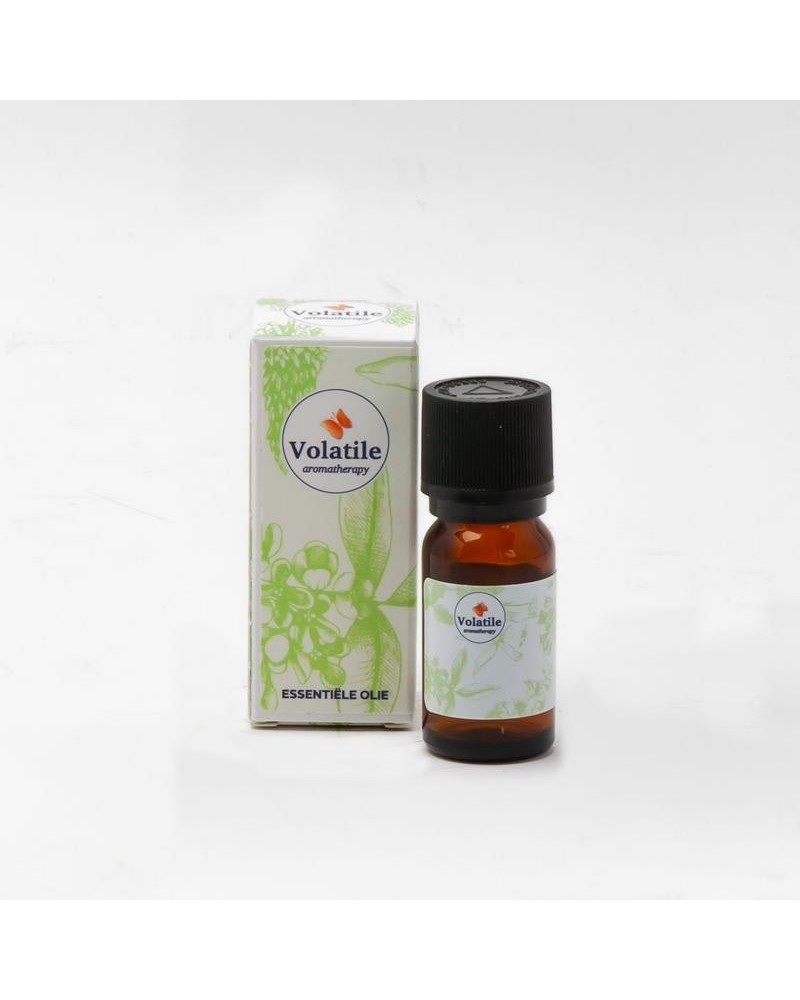 Peper chili CO2-TO