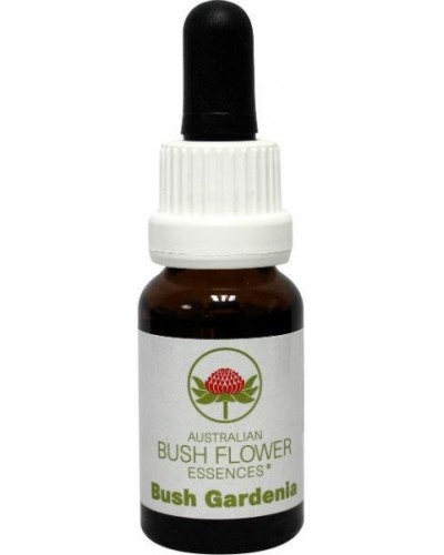 Bush gardenia