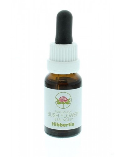 Hibbertia
