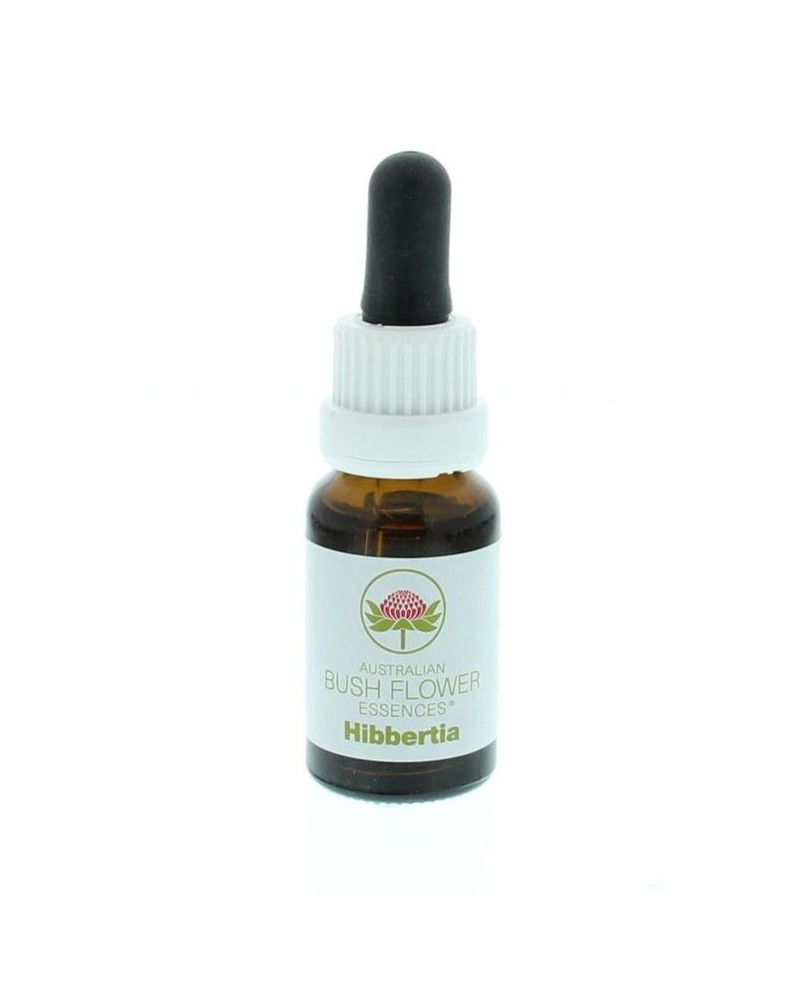 Hibbertia