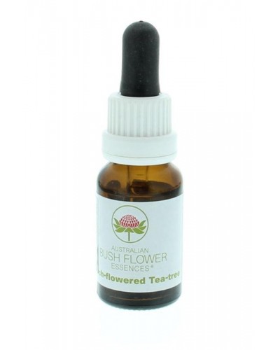 Peach-flowered tea tree