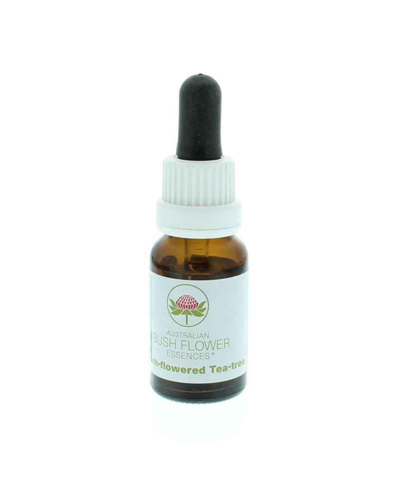 Peach-flowered tea tree