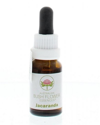 Jacaranda