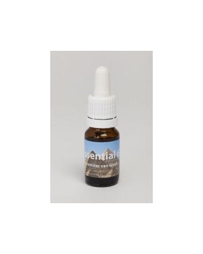 Pyramides van Gizes