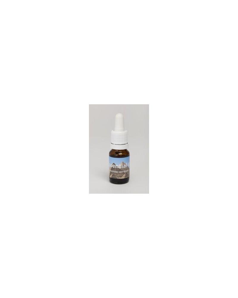 Pyramides van Gizes