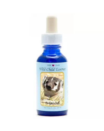 Badger cup (dassen jong)