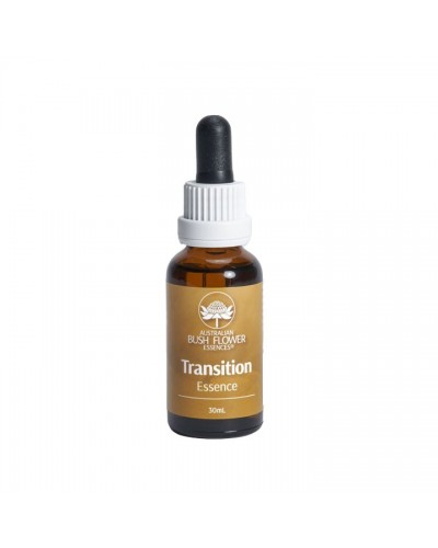 Transition essence