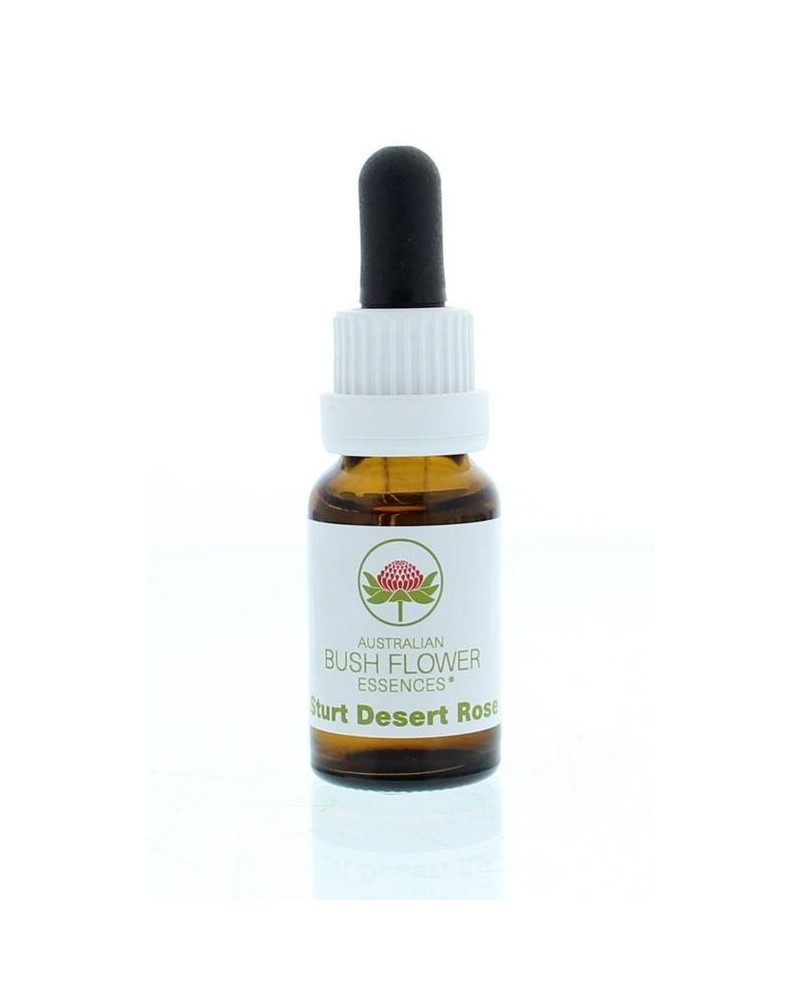 Sturt desert rose