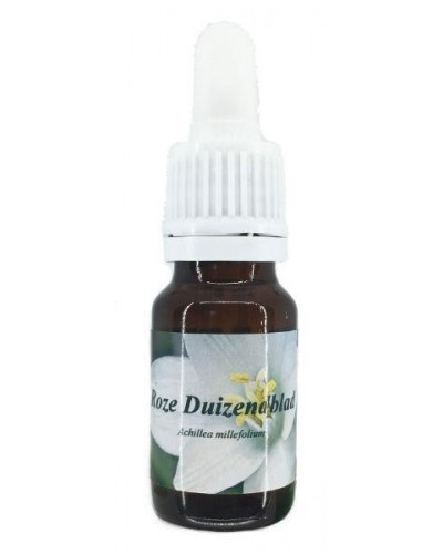 Duizendblad roze