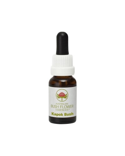 Kapok bush