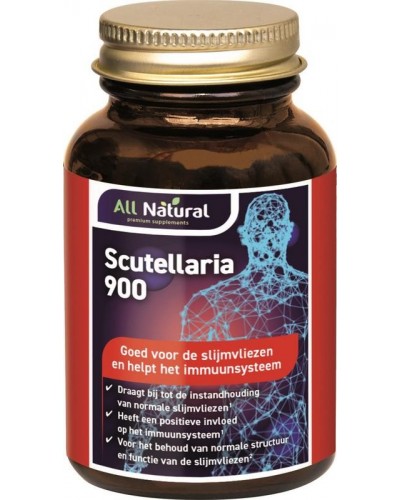Scutellaria