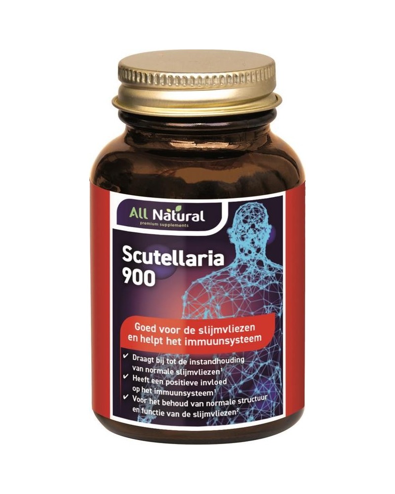 Scutellaria