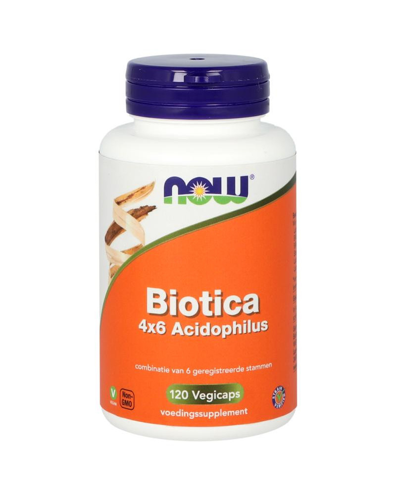 Biotica 4 x 6 acidophilus